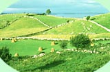 typische Landschaft im  County Clare