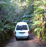 Bus im Urwald