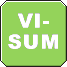 Visum-Icon