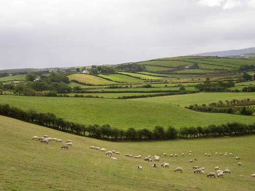 Typische Aussicht auf Ihrer Radreise durch Irland