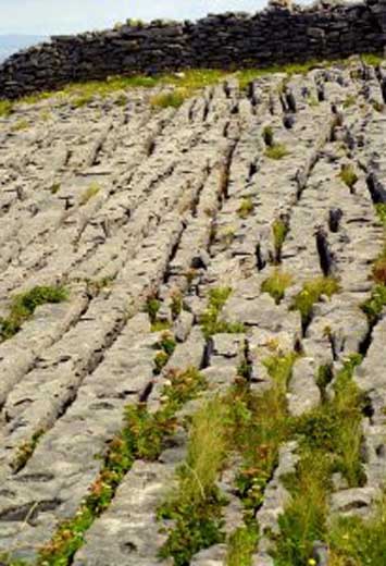 Auch die Steinsulen bei Doolin sehen Sie auf unserer Radreise