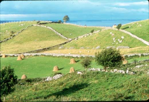 Unsere Connemara Radtouren fhren zunchst durch das County Clare