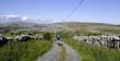 Fahrradfahrer auf einem schmalen Weg durch den Burren