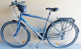 our GIANT  gents bike in Tasmania