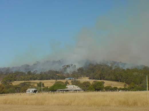 In Australien gehren Buschfeuer zum tglichen Alltag