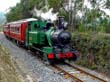 Statt per Fahrrad knnen Sie die Tagesetappe Queenstown-Strahan auch mit der Abt-Railway zurcklegen